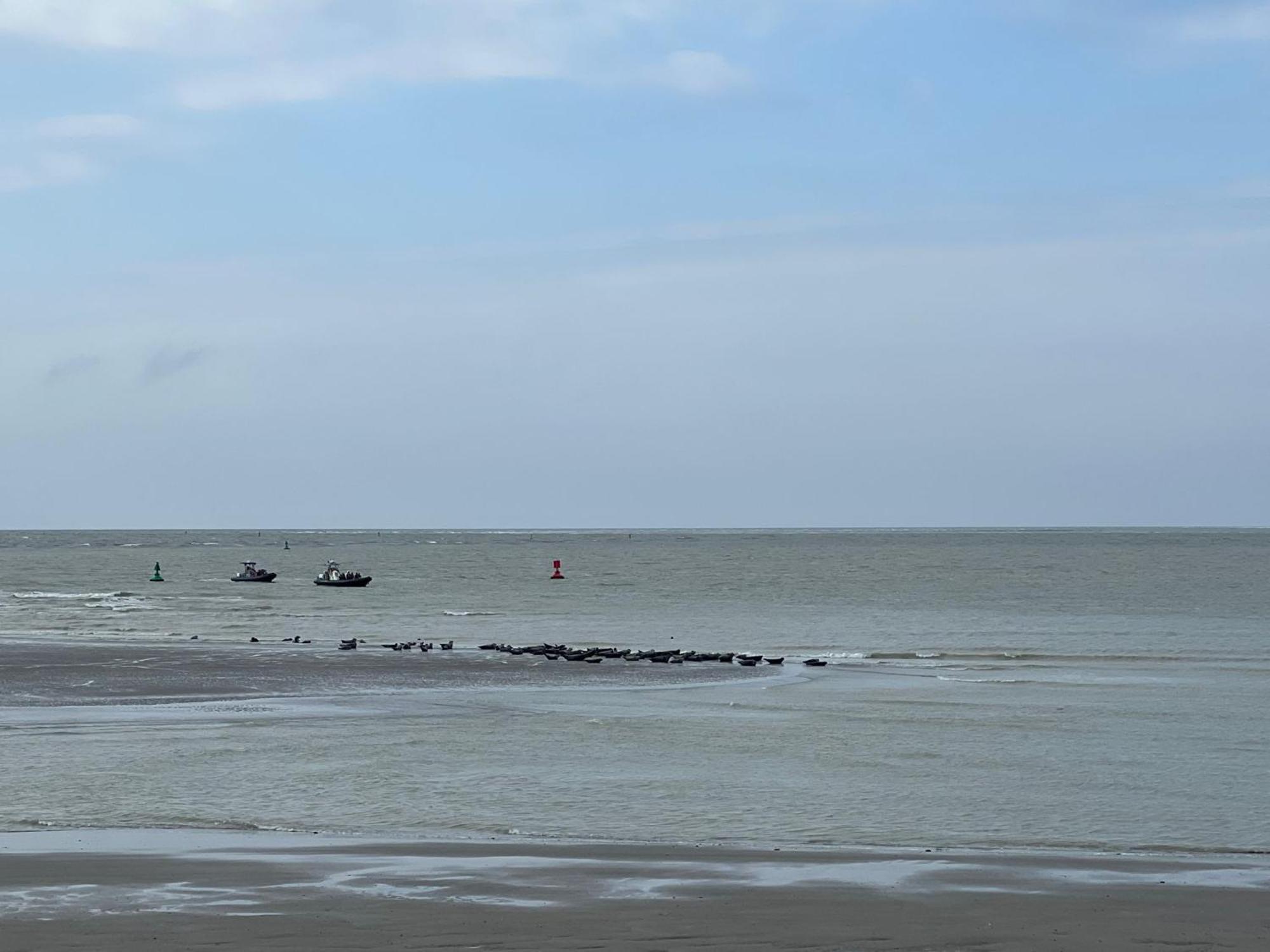 Plage A 50M Appartement Reves De Mer Villa Les Bains De Mers 外观 照片